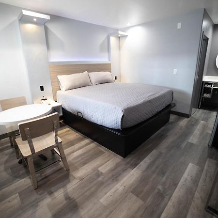 Palms Motel พิโคริเวรา ภายนอก รูปภาพ